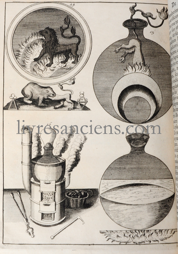 Photo BARCHUSEN, Johann Conrad. 