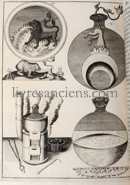 Photo BARCHUSEN, Johann Conrad. 