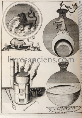 Photo BARCHUSEN, Johann Conrad. 