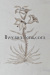 Photo [MAROQUIN]. 