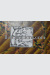 Photo [CURIOSA]. 
