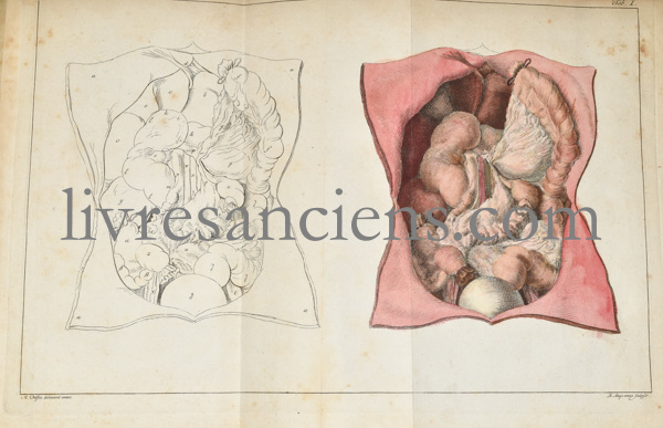 Photo SANDIFORT, Edward. 