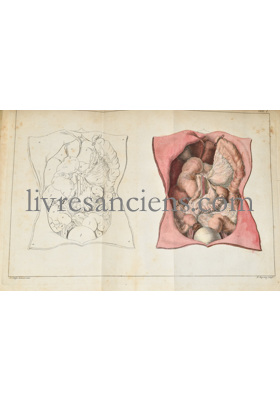 Photo SANDIFORT, Edward. 