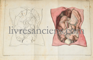 Photo SANDIFORT, Edward. 