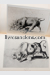 Photo GERICAULT, Théodore || (GOBIN, EITNER, BERGER, BUHLER,  ...). 