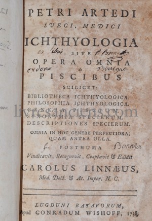 Photo ARTEDI, Peter || LINNE, Carl von.