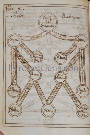 Photo [MANUSCRIT]. 