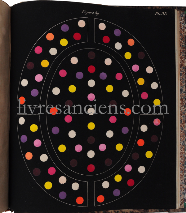 Photo CHEVREUL, Michel Eugène. 