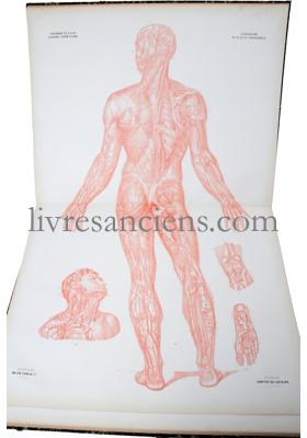 Photo BOURGERY, Jean-Marc ||  JACOB, Nicholas Henri. 