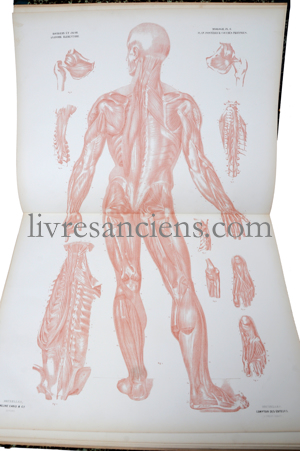 Photo BOURGERY, Jean-Marc ||  JACOB, Nicholas Henri. 