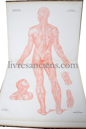 Photo BOURGERY, Jean-Marc ||  JACOB, Nicholas Henri. 