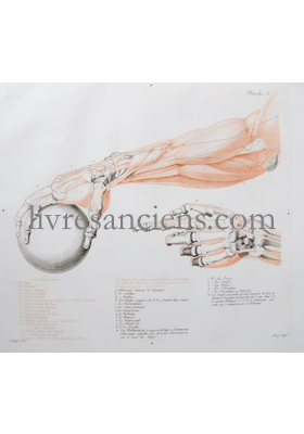 Photo SALVAGE, Jean-Galibert.&nbsp;