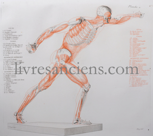 Photo SALVAGE, Jean-Galibert.&nbsp;