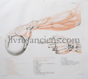 Photo SALVAGE, Jean-Galibert.&nbsp;