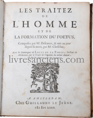 Photo DESCARTES, René. 