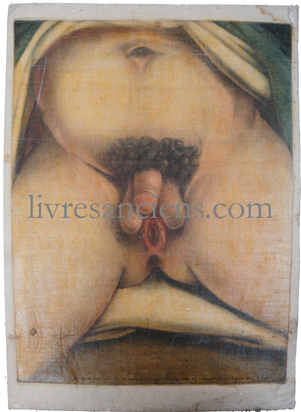 Photo [GAUTIER-D'AGOTY, Jacques Fabien]. 