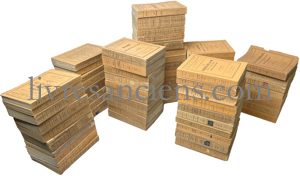 Photo [L'EVOLUTION DE L'HUMANITE].&nbsp;