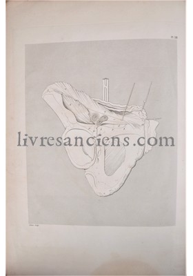 Photo SCARPA, Antoine.&nbsp;